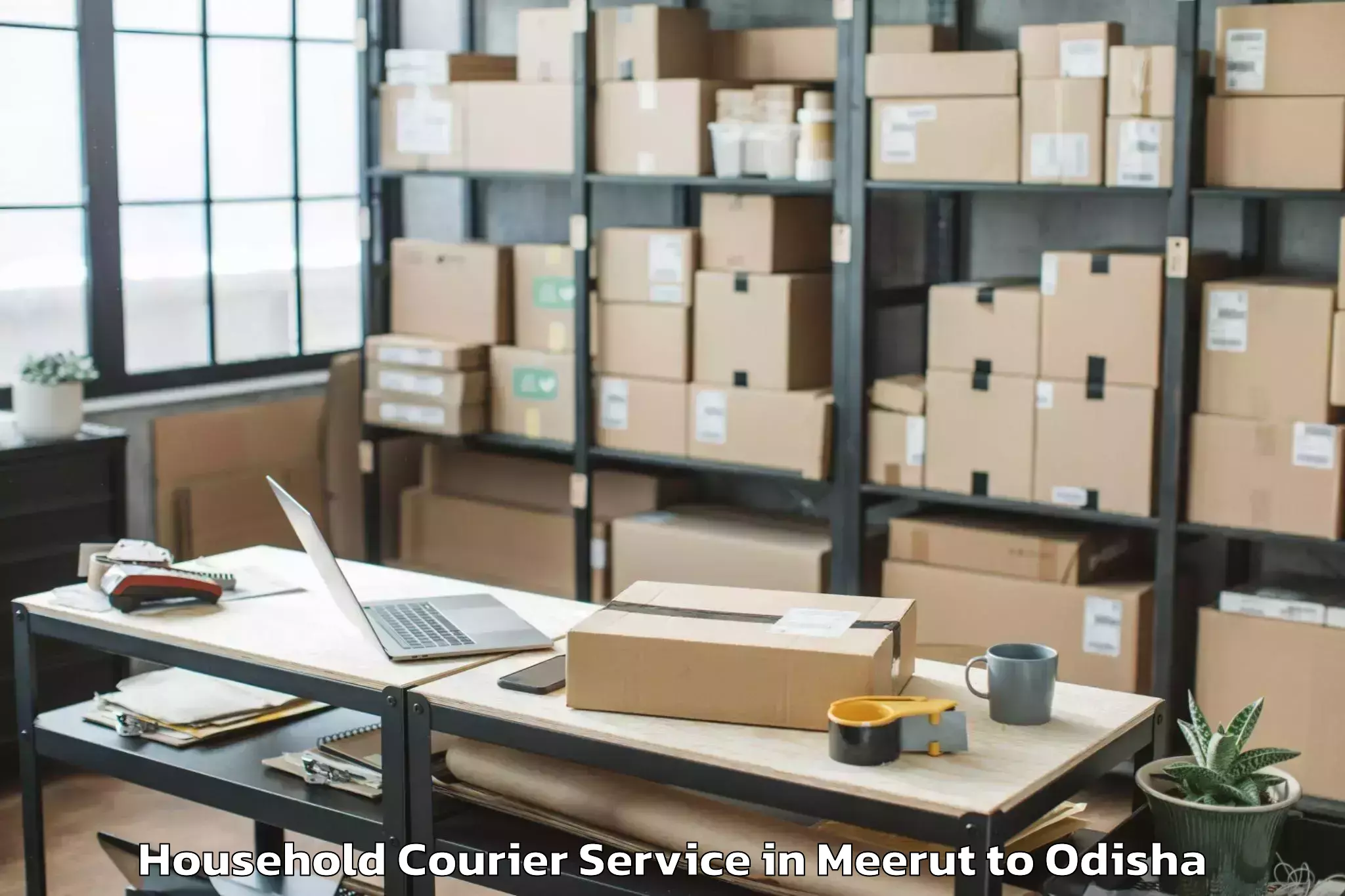 Professional Meerut to Bhanjanagar Household Courier